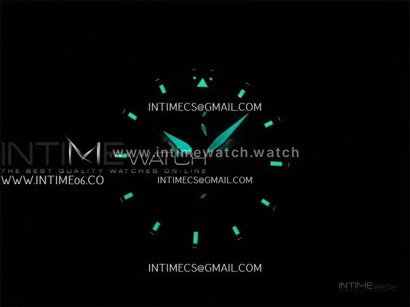 Pilot IW3922 SS V9F Best Edition Black Dial Black Leather Strap A89630